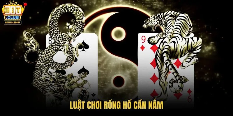 luat-choi-rong-ho-can-nam